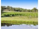 136 Talga Road, Lovedale NSW 2325