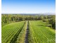 136 Talga Road, Lovedale NSW 2325