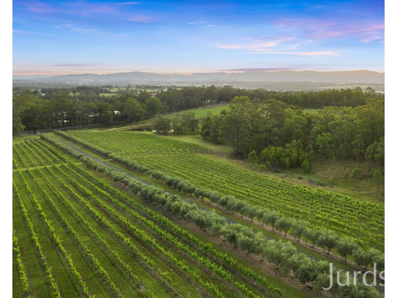 136 Talga Road, Lovedale NSW 2325