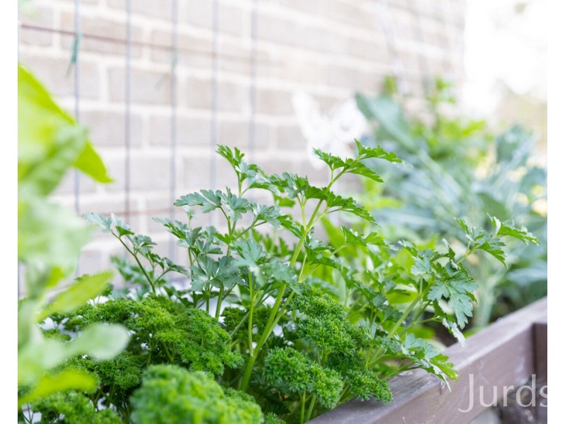 26 Jeffries Street, Kearsley NSW 2325