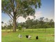159 Majors Lane, Keinbah NSW 2320