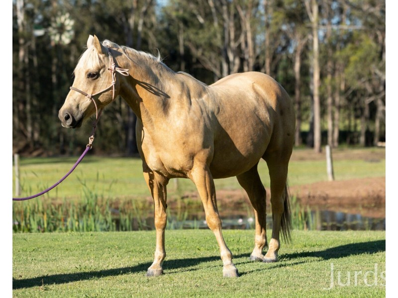 148 De Beyers Road, Pokolbin NSW 2320