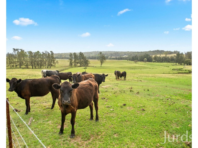 98 Kirkton Road, Lower Belford NSW 2335