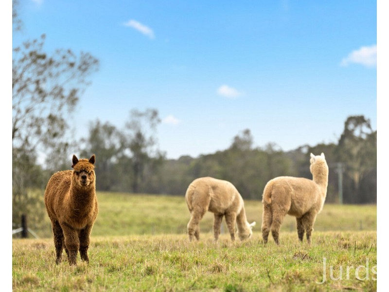 98 Kirkton Road, Lower Belford NSW 2335