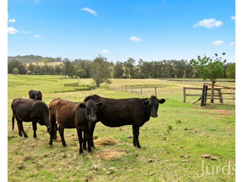 98 Kirkton Road, Lower Belford NSW 2335