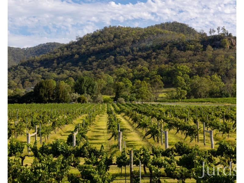 803 Milbrodale Road, Broke NSW 2330