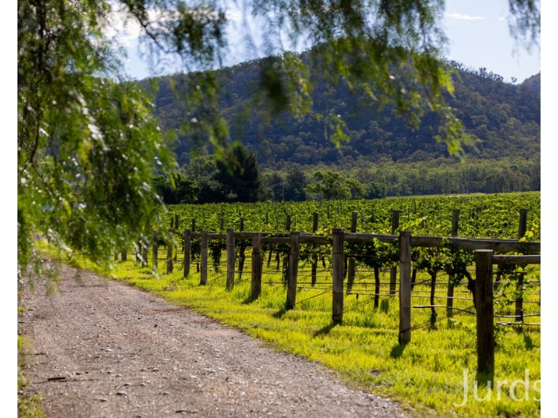 803 Milbrodale Road, Broke NSW 2330