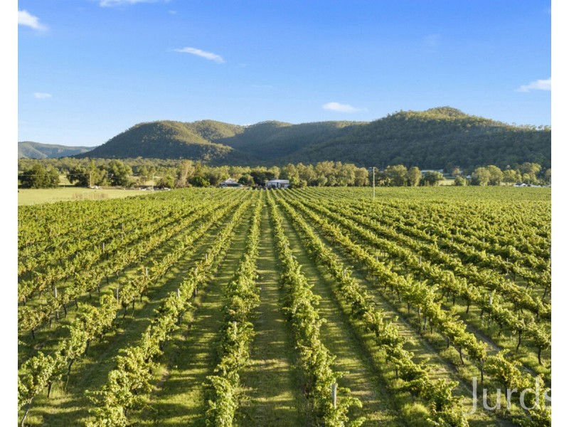 803 Milbrodale Road, Broke NSW 2330