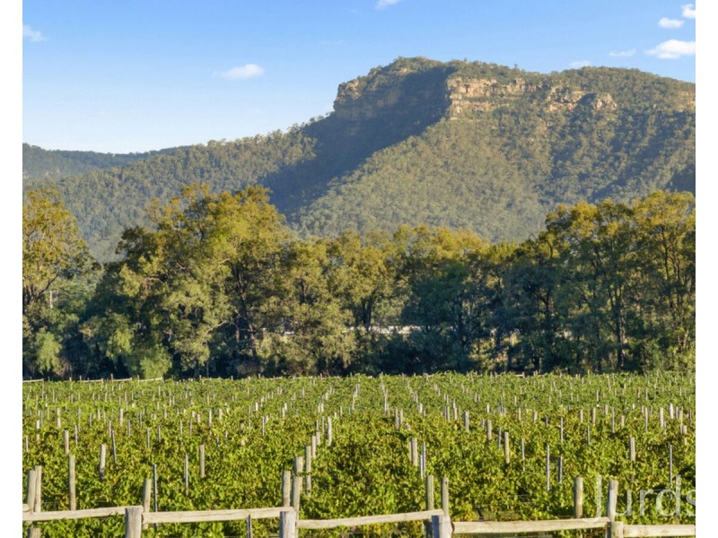 803 Milbrodale Road, Broke NSW 2330