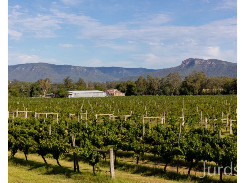 803 Milbrodale Road, Broke NSW 2330