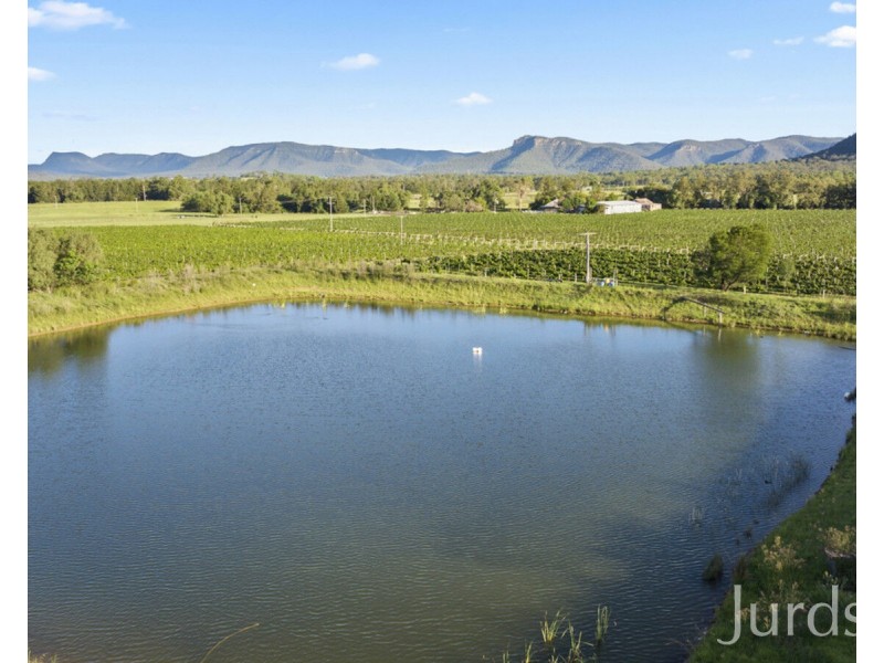 803 Milbrodale Road, Broke NSW 2330