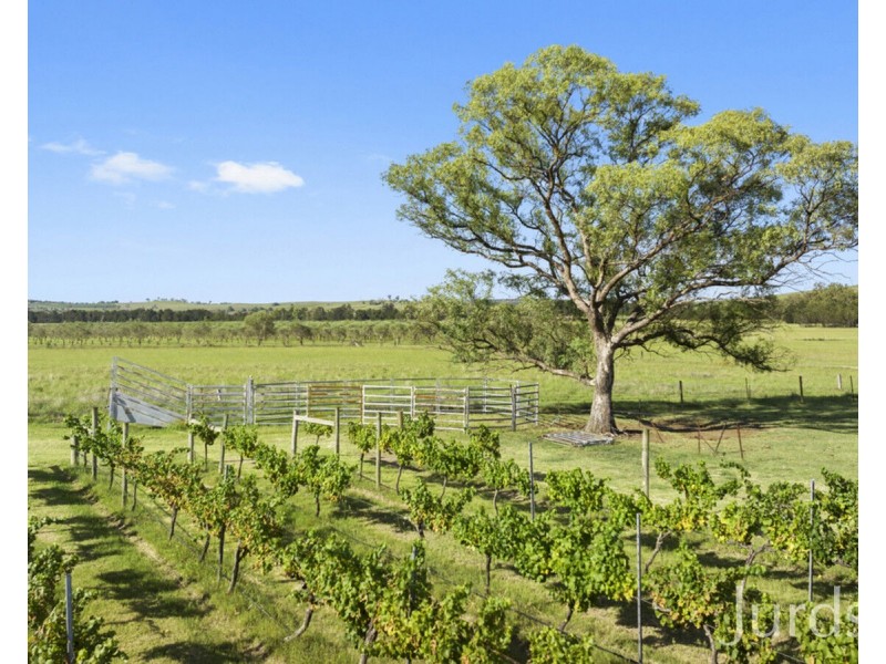 803 Milbrodale Road, Broke NSW 2330