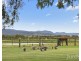 19 Busby Road, Lower Belford NSW 2335