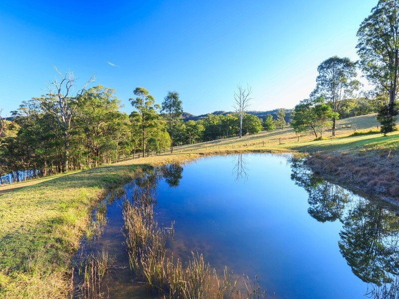 1194 Mount View Road, Mount View NSW 2325