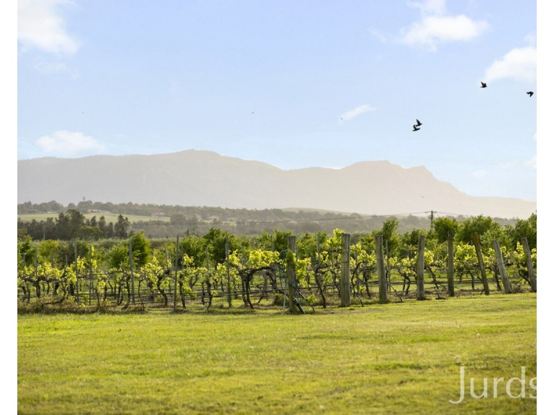 307 Talga Road, Lovedale NSW 2325