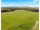 307 Talga Road, Lovedale NSW 2325