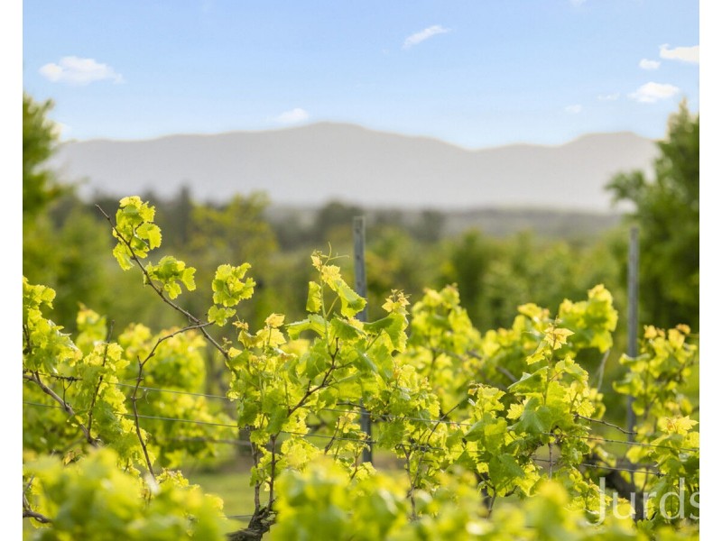 307 Talga Road, Lovedale NSW 2325