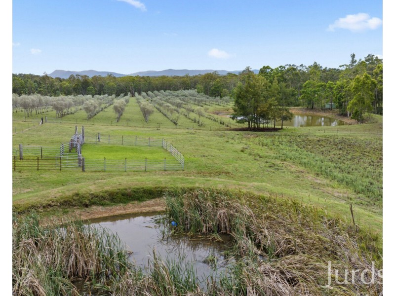 93 Lindsay Road, North Rothbury NSW 2335