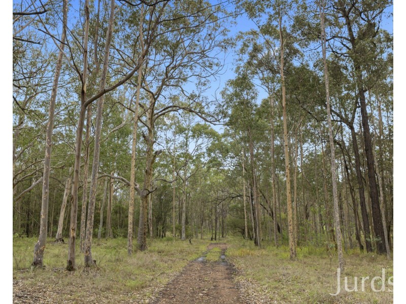 93 Lindsay Road, North Rothbury NSW 2335