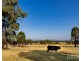 263 Wambo Road, Bulga NSW 2330