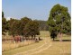 263 Wambo Road, Bulga NSW 2330