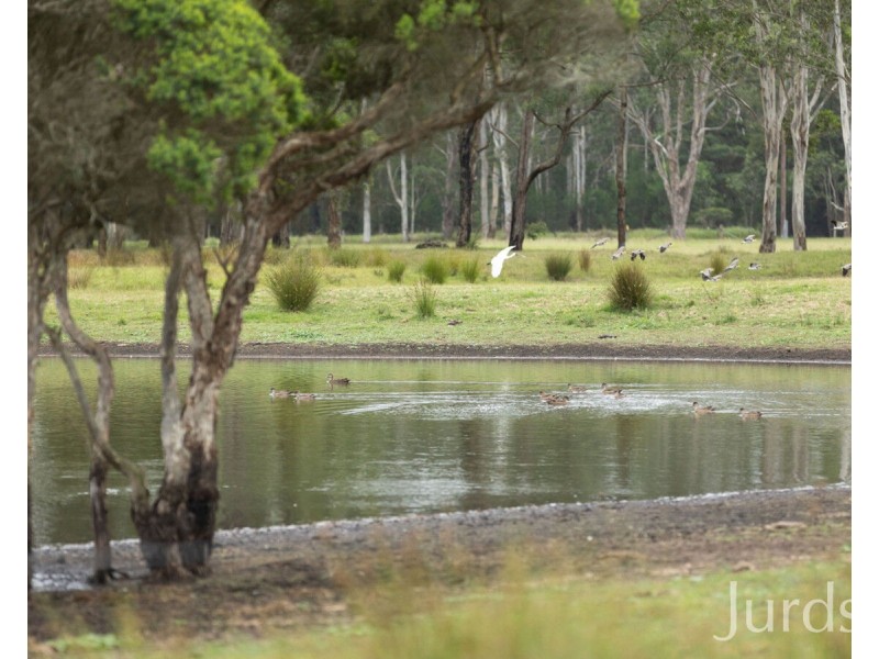 202 Quorrobolong Road, Kitchener NSW 2325