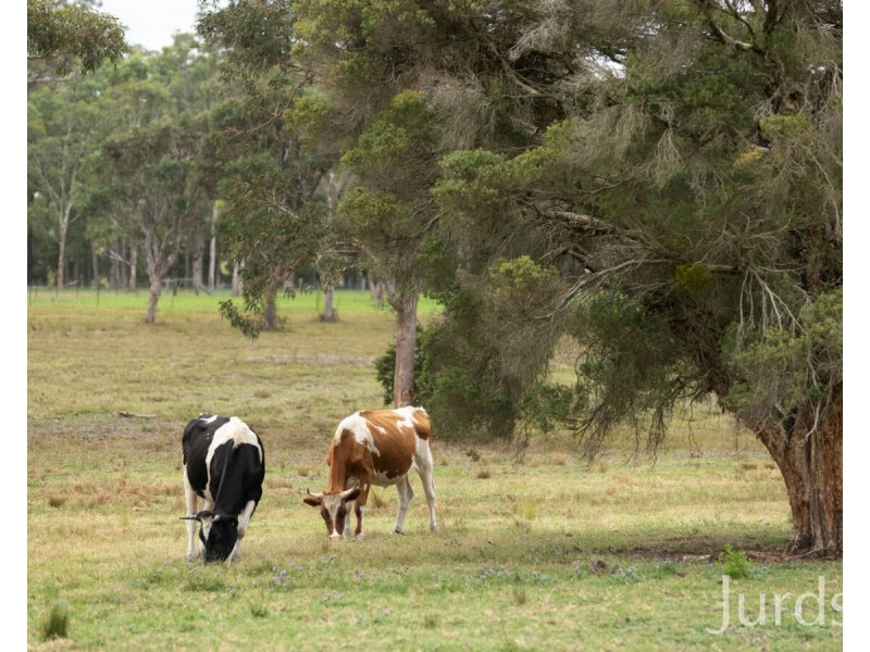 202 Quorrobolong Road, Kitchener NSW 2325