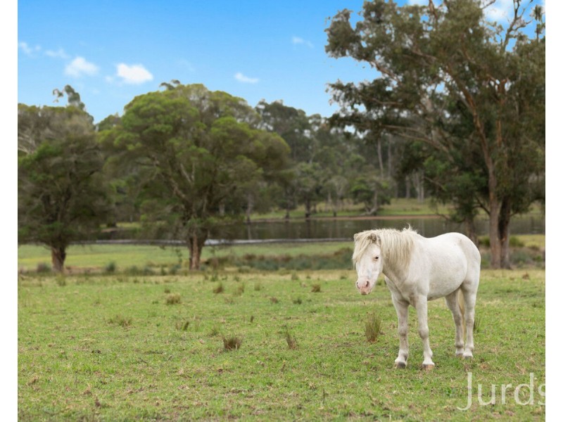 202 Quorrobolong Road, Kitchener NSW 2325