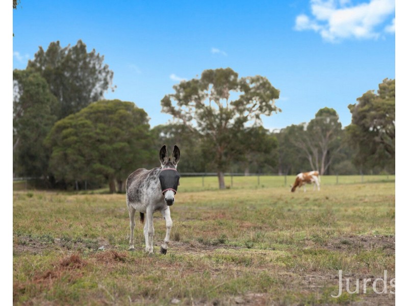 202 Quorrobolong Road, Kitchener NSW 2325