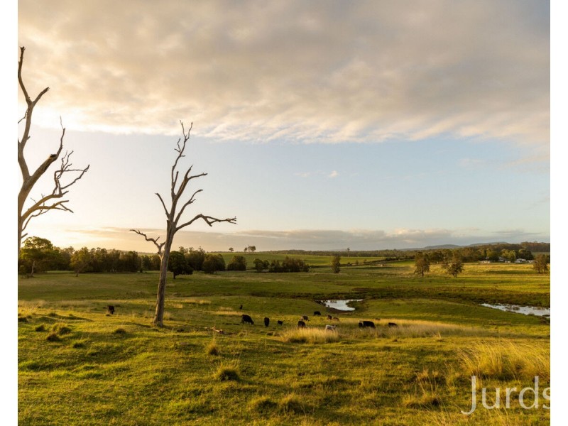 392 Tocal Road, Mindaribba NSW 2320