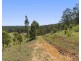 324 Wollong Road, Quorrobolong NSW 2325
