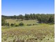 324 Wollong Road, Quorrobolong NSW 2325