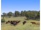 324 Wollong Road, Quorrobolong NSW 2325