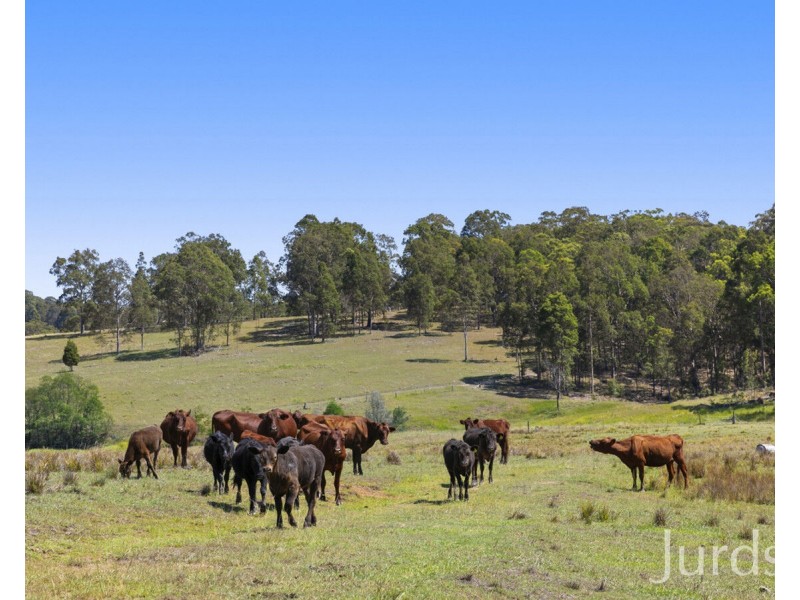 324 Wollong Road, Quorrobolong NSW 2325