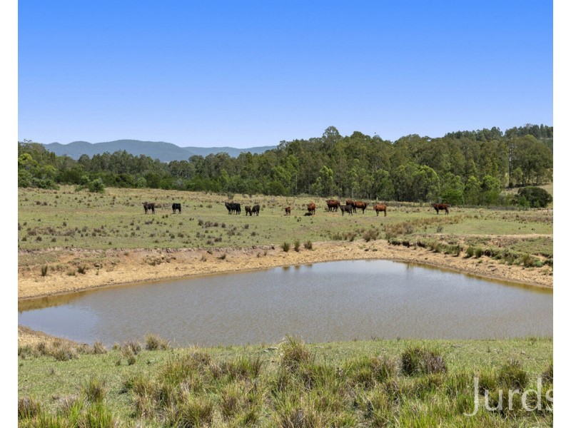 324 Wollong Road, Quorrobolong NSW 2325