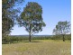 324 Wollong Road, Quorrobolong NSW 2325