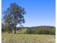 324 Wollong Road, Quorrobolong NSW 2325