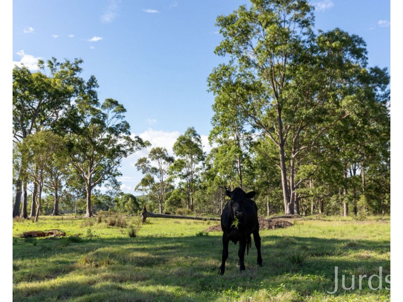 347 East Seaham Road, East Seaham NSW 2324