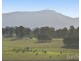 Lot 2 off Gillards Road, Pokolbin NSW 2320