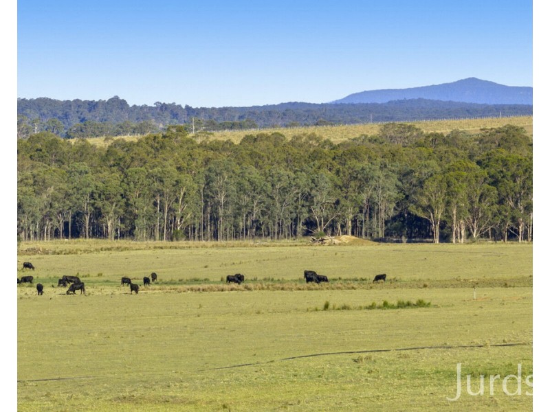 Lot 2 off Gillards Road, Pokolbin NSW 2320