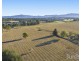 Lot 2 off Gillards Road, Pokolbin NSW 2320
