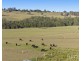 Lot 2 off Gillards Road, Pokolbin NSW 2320