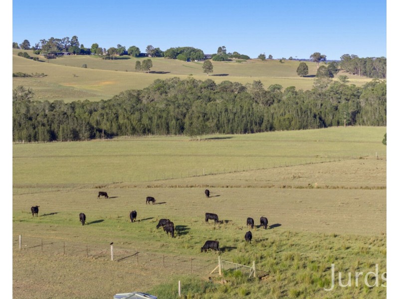 Lot 2 off Gillards Road, Pokolbin NSW 2320
