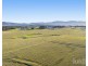 Lot 2 off Gillards Road, Pokolbin NSW 2320