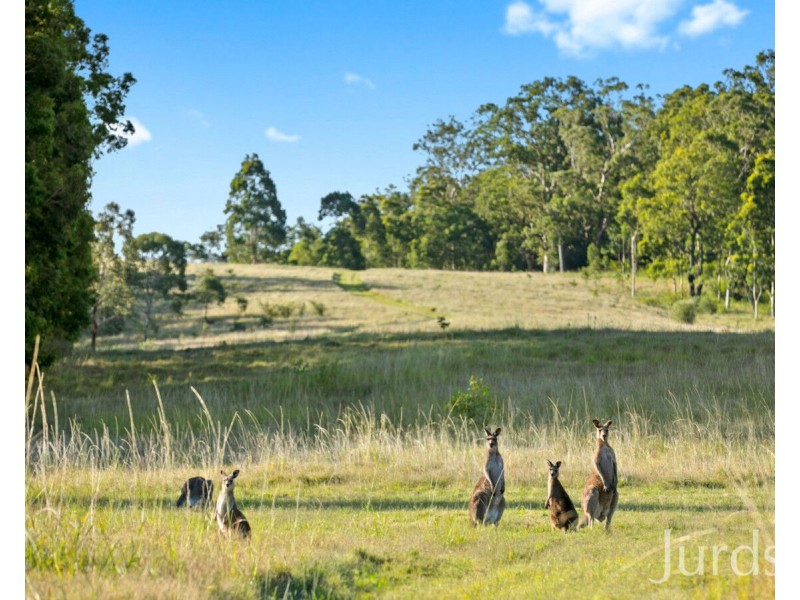 86 Hillsborough Road, Hillsborough NSW 2320