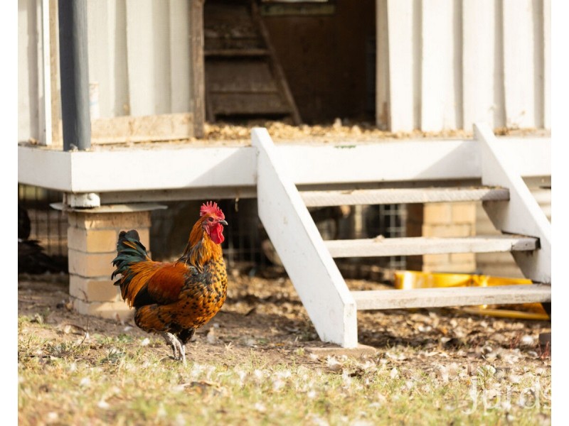 511 Congewai Road, Congewai NSW 2325