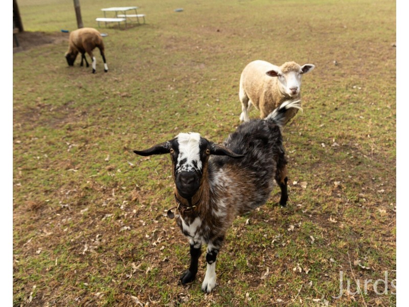 511 Congewai Road, Congewai NSW 2325