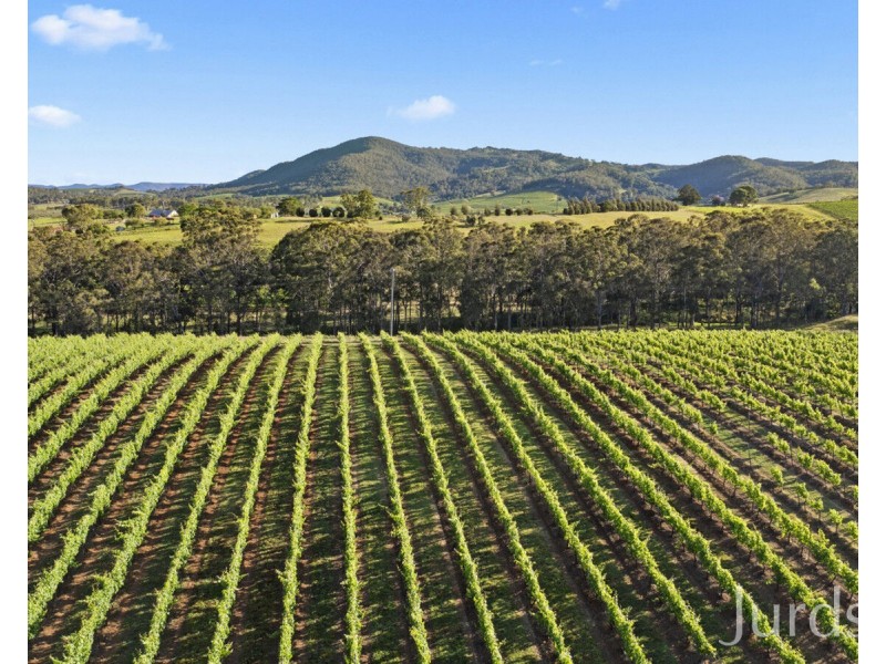 658 De Beyers Road, Pokolbin NSW 2320