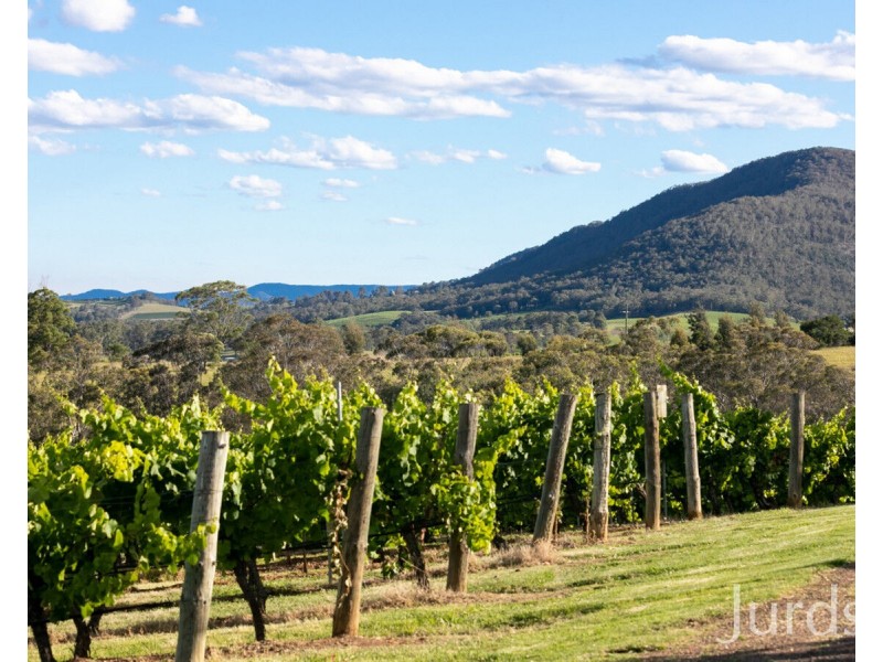 658 De Beyers Road, Pokolbin NSW 2320