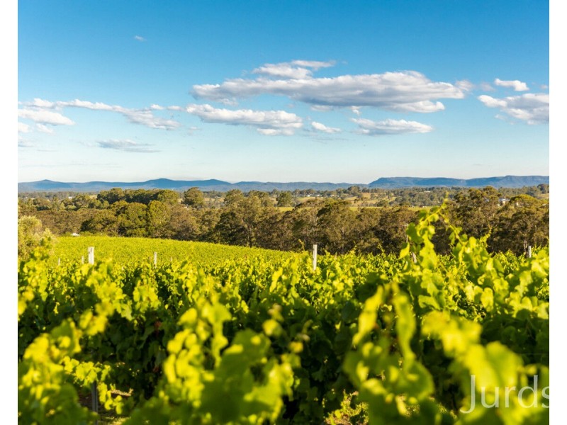 658 De Beyers Road, Pokolbin NSW 2320